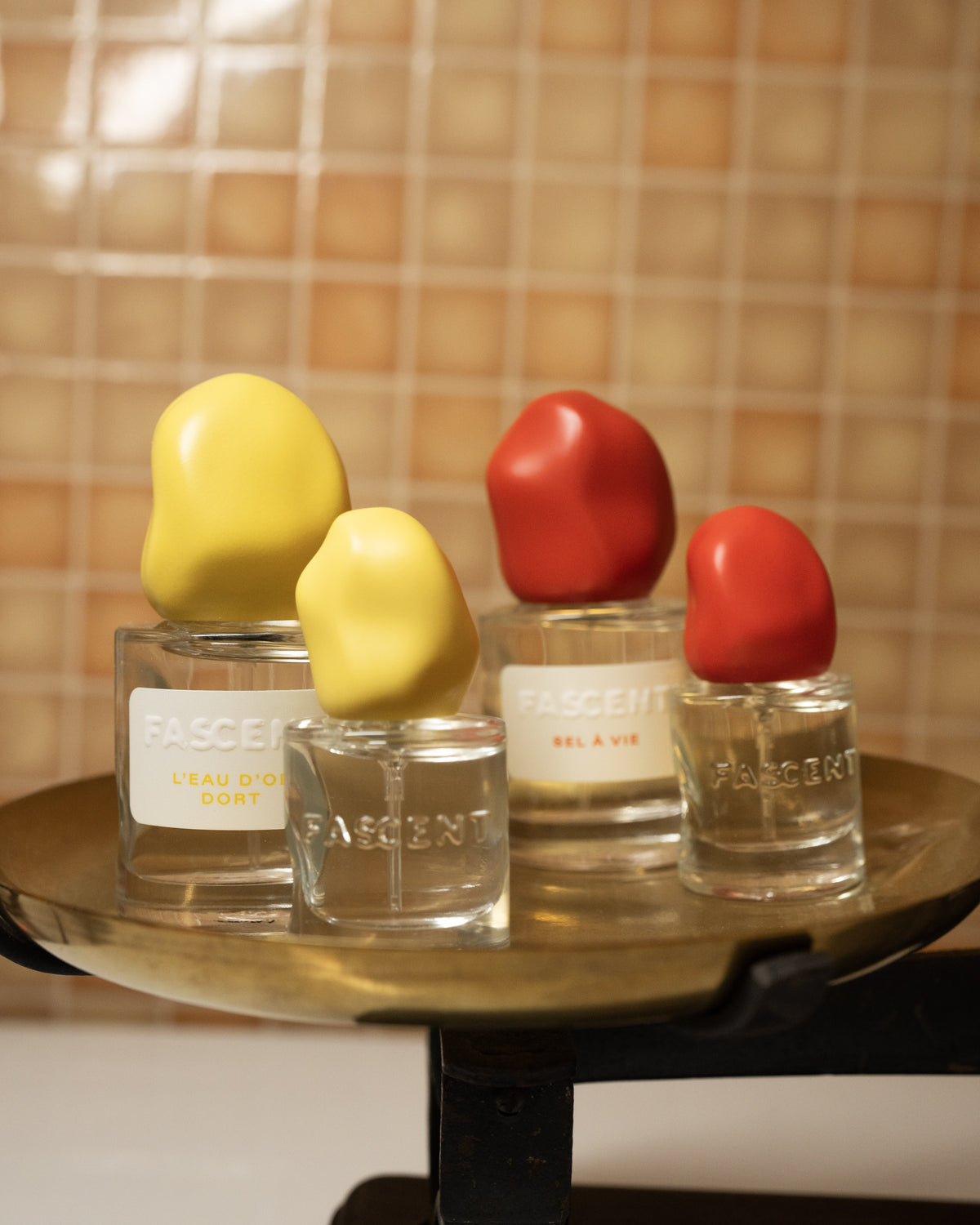 SEL À VIE 10ML